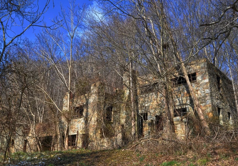 an abandoned building is seen amongst the woods