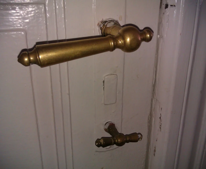 the door handle of a closed door is gold