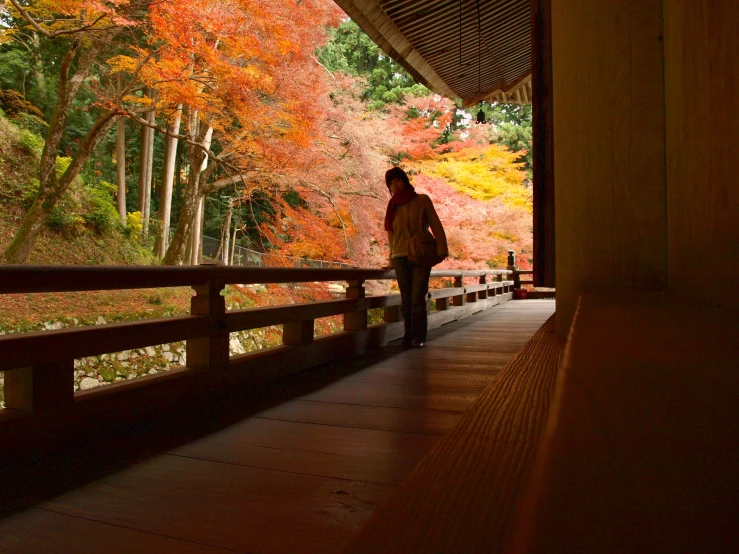 a person that is standing near some trees