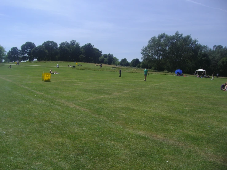 a group of people on the grass playing frisbee