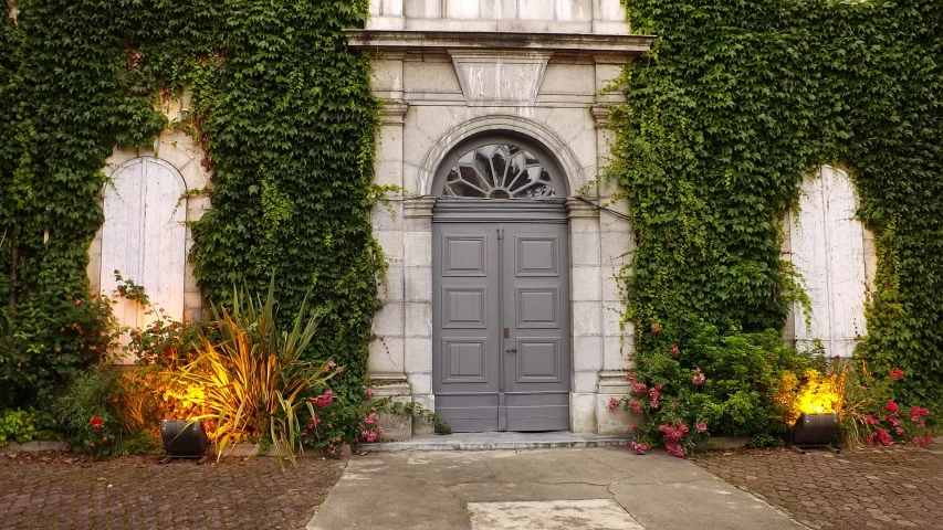 a po taken outside an old building with vines growing around it