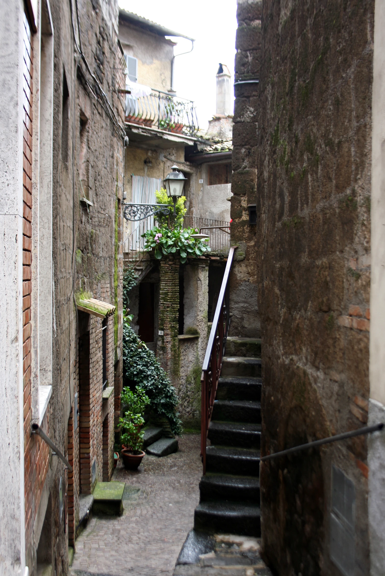 a dark alley way with plants growing on the steps