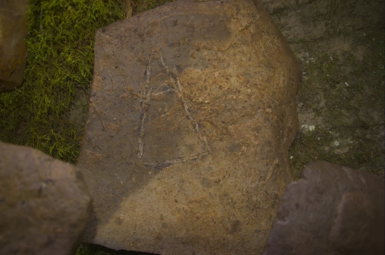 a stone object with plants growing on it