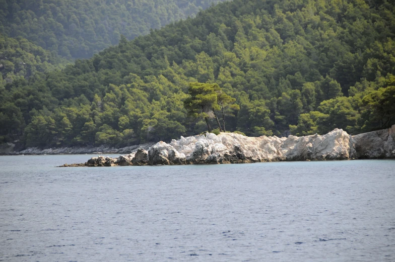 a body of water with trees in the background