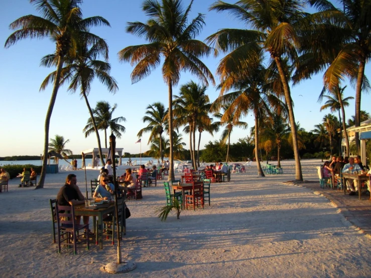 a beach covered in palm trees with many dining tables set out