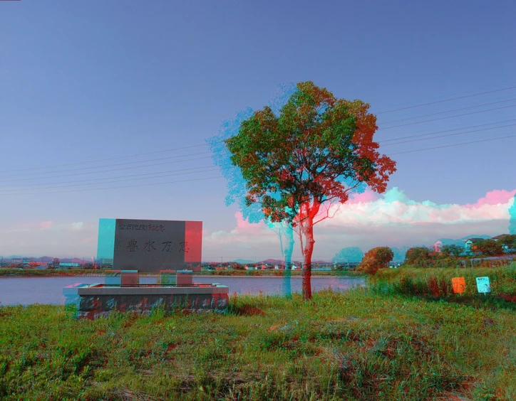 trees stand on a grassy bank with water in the background