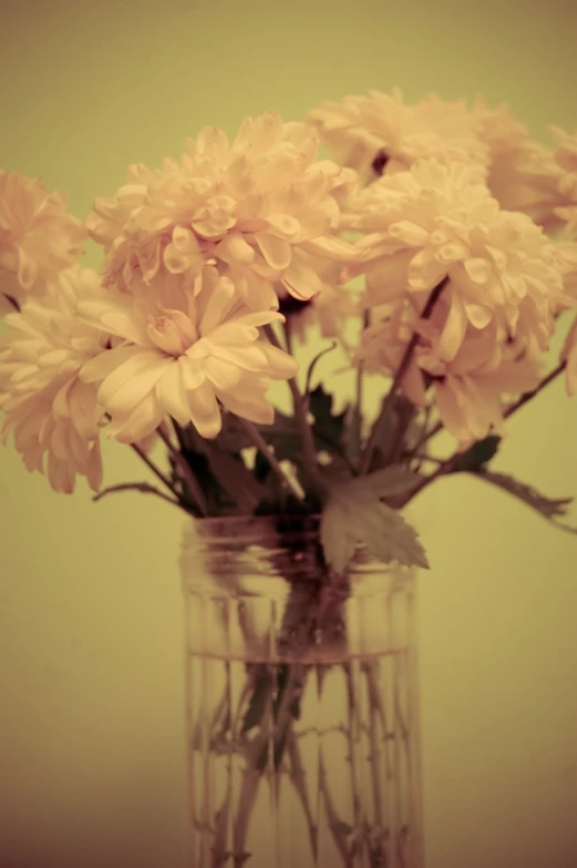 there is pink flowers in the glass jar
