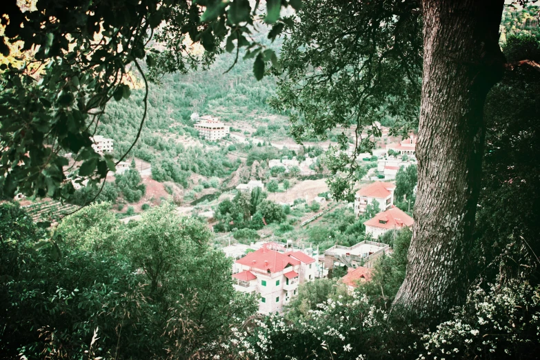 a view of a large building on a hill next to trees