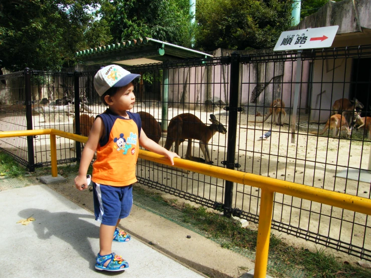 a boy is holding a bat and looking at the animals in the cage