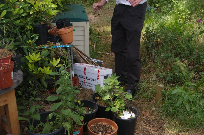 a man holds a box full of plants in the ground