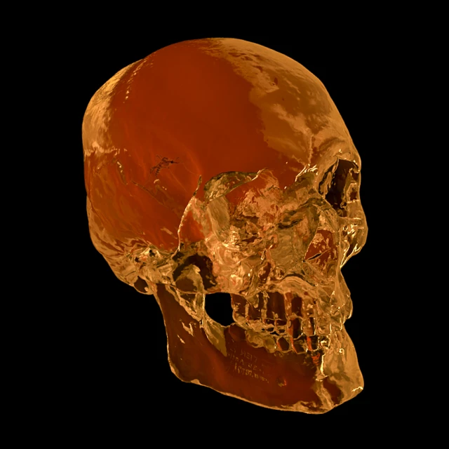 a 3d image of a human skull with its mouth open