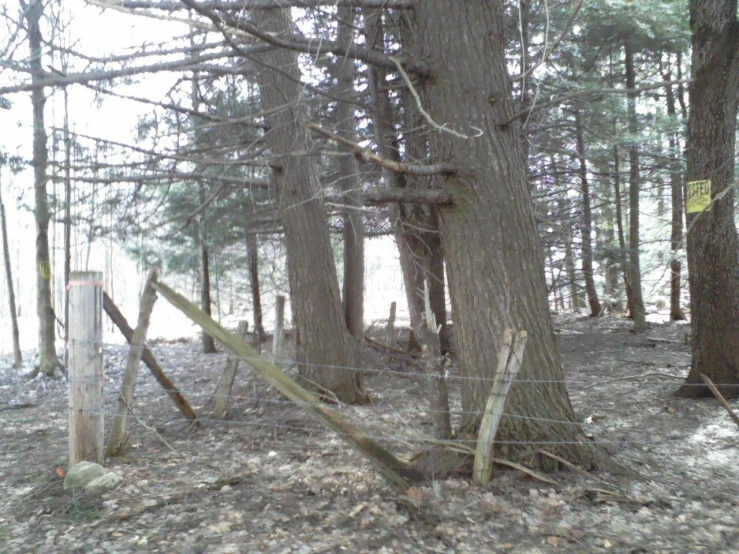 an abandoned fence next to some trees and the woods