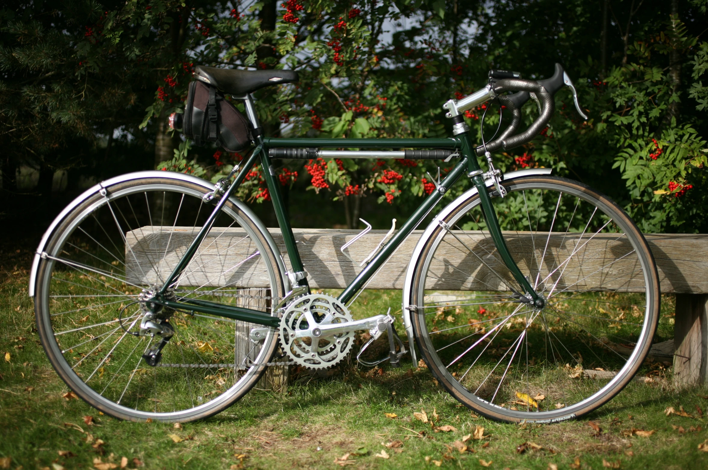 a bicycle leaned against the back of a bench