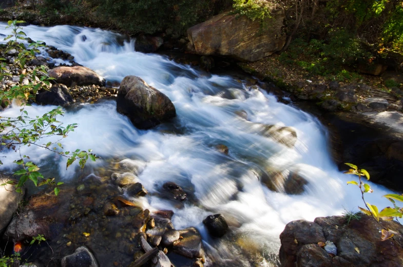 there is a small river with rushing water