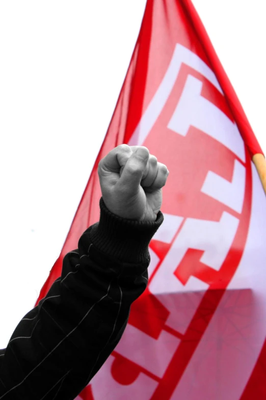 this person holds a large flag in their left hand