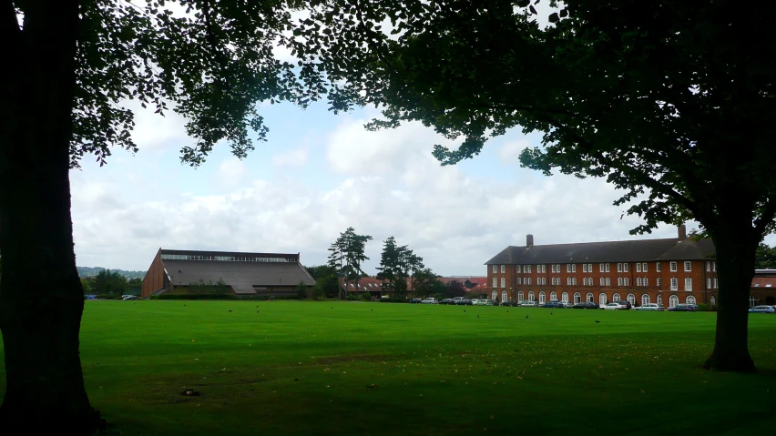 a lush green park next to trees with a building in the background