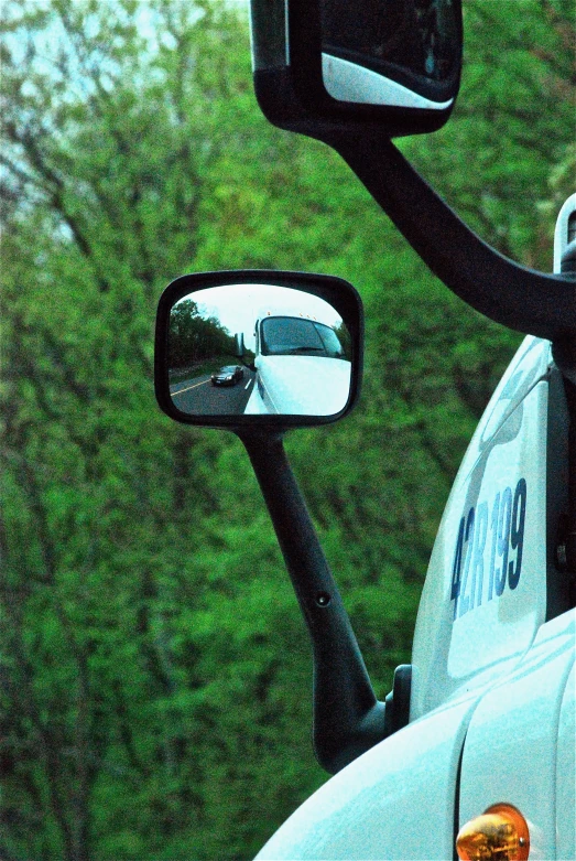 side view mirror on truck reflecting trees in rear view mirror