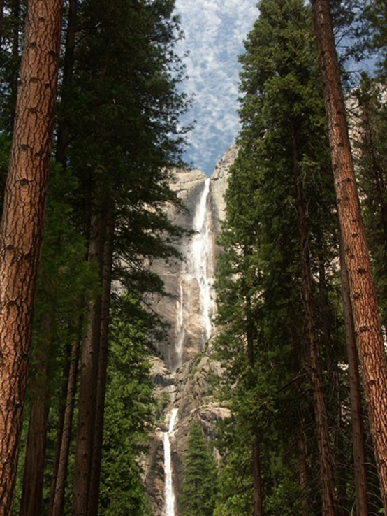 the waterfall is high above the trees