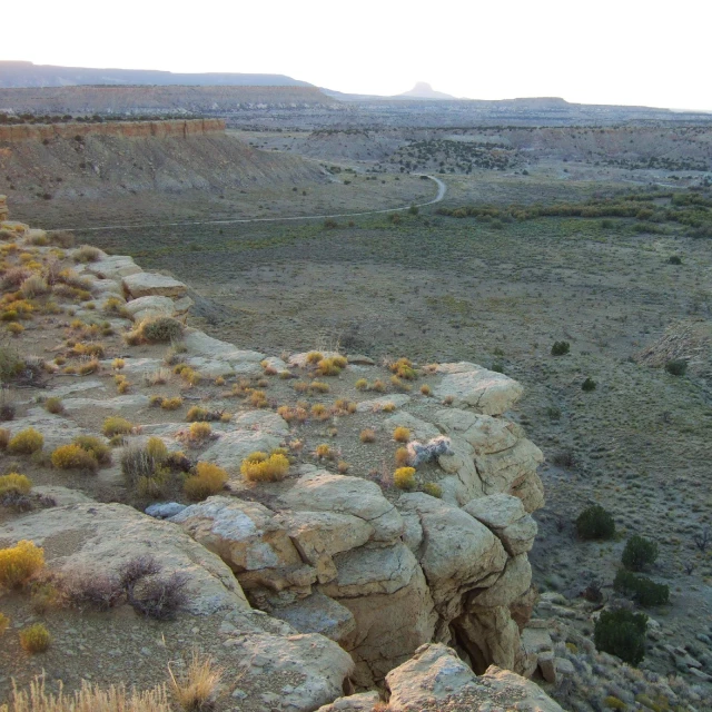 landscape at sunset with small shrubs in foreground and hills in background