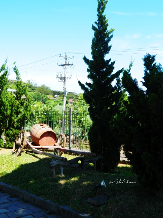 a picture taken of a back yard with a wine barrel on the side