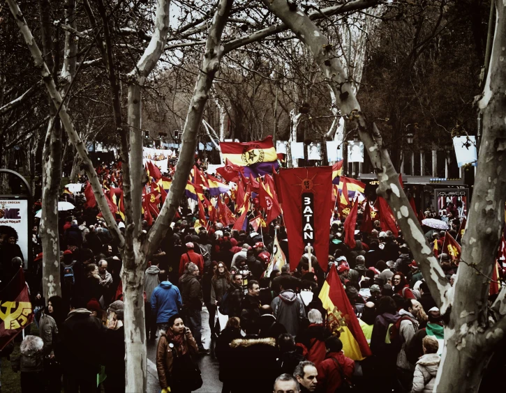 a very large crowd that has gathered near trees