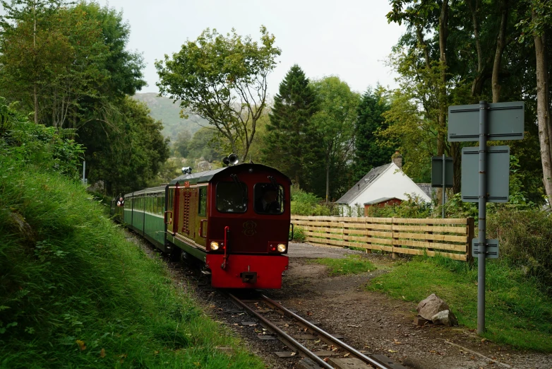 a train traveling through a forest with lots of trees