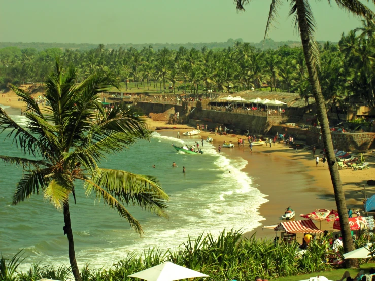 palm trees on the beach in front of a resort