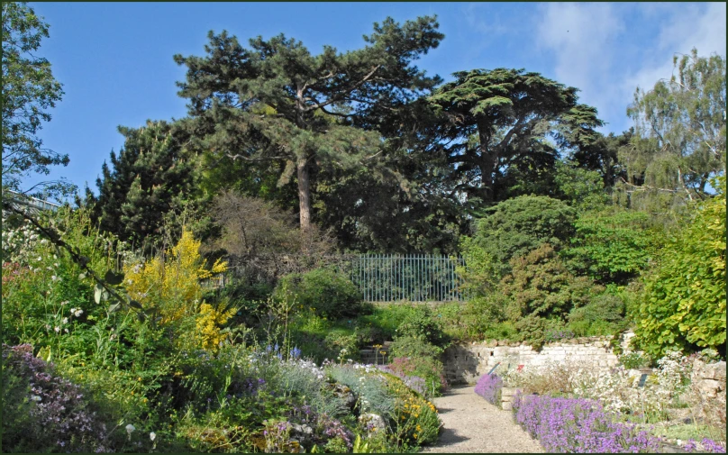 the pathway leads through the flower garden to the gate