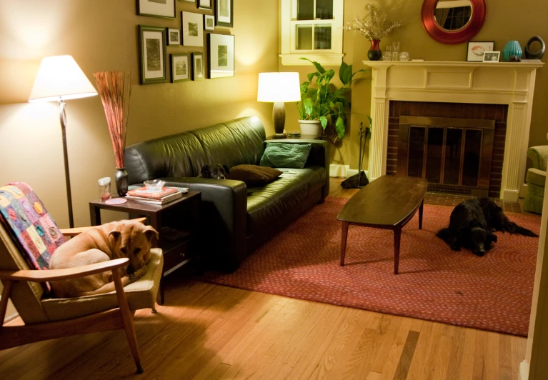 a living room with a dog laying on the floor