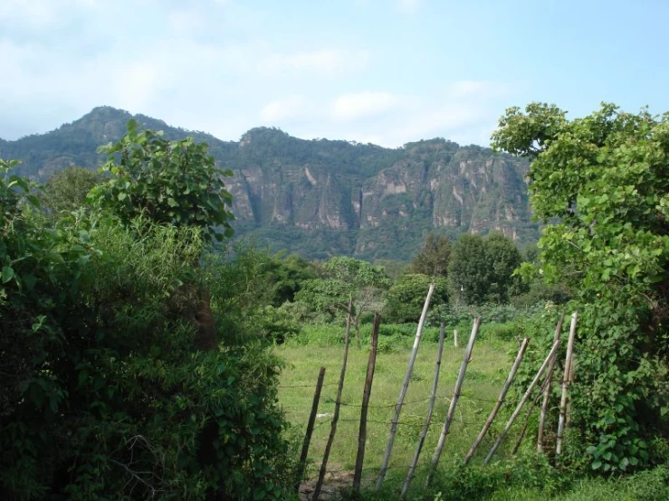 the green grass is growing in the valley next to a mountain