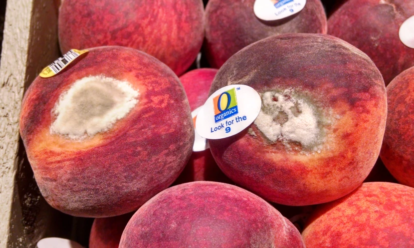 a bunch of peaches with peeling and a sticker that says do