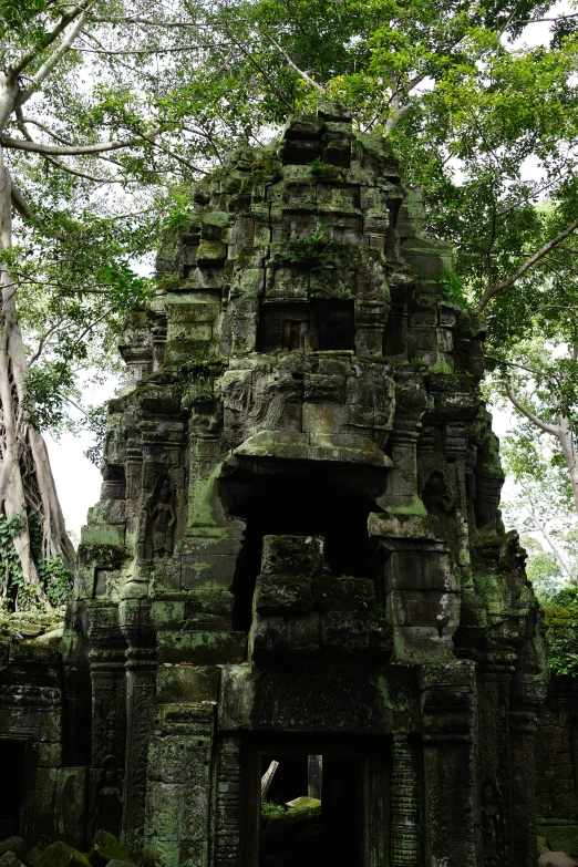an ancient temple in a jungle setting surrounded by lush vegetation