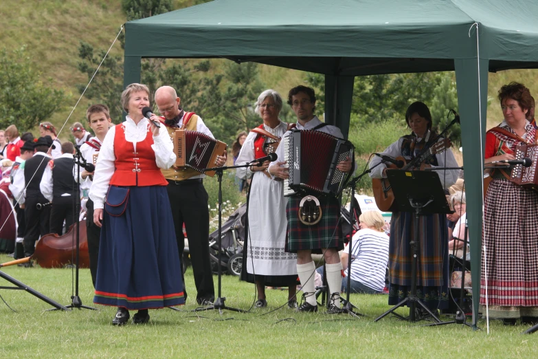 many people dressed in costumes with instruments standing on the grass