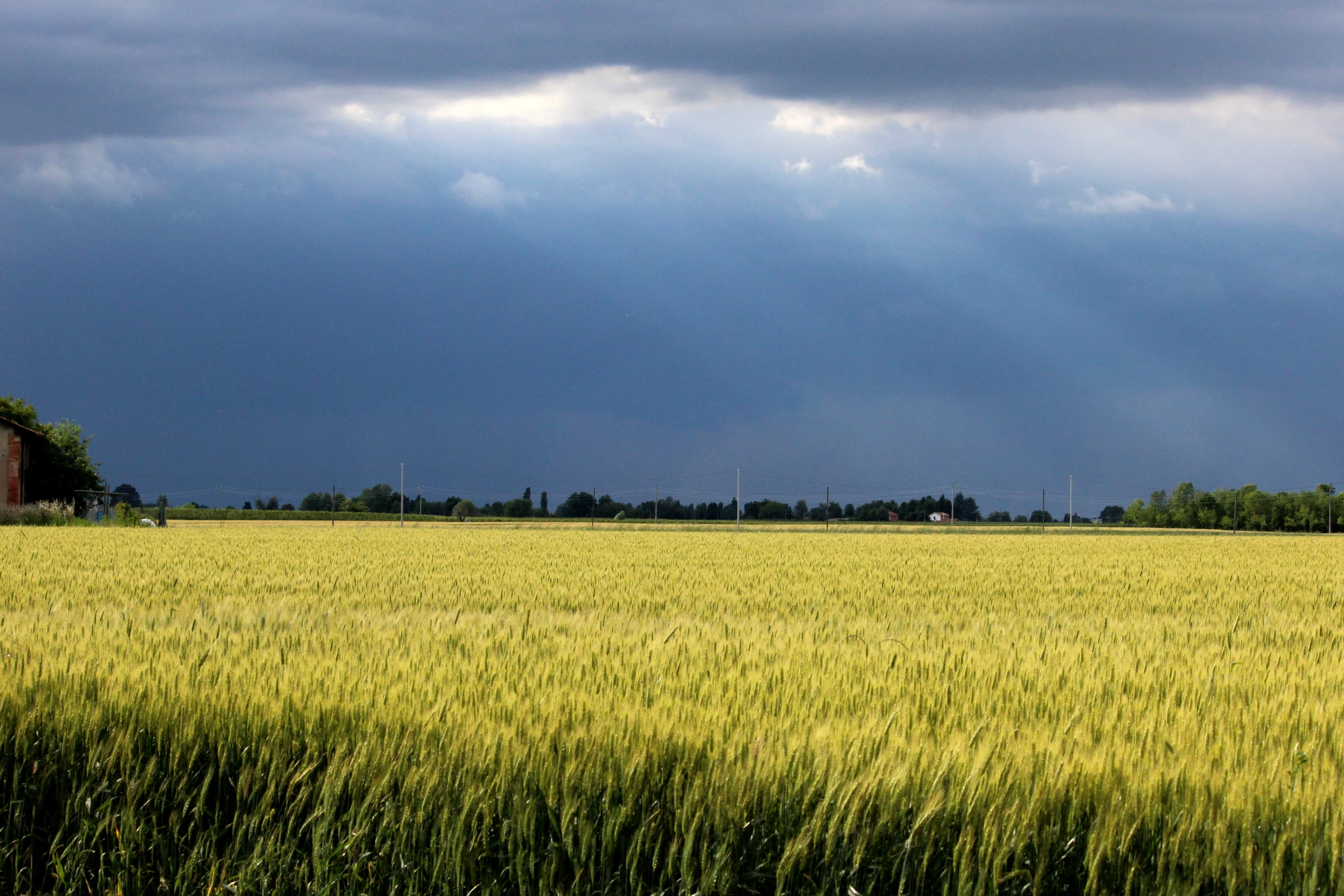 a view of a field with the sky in the background