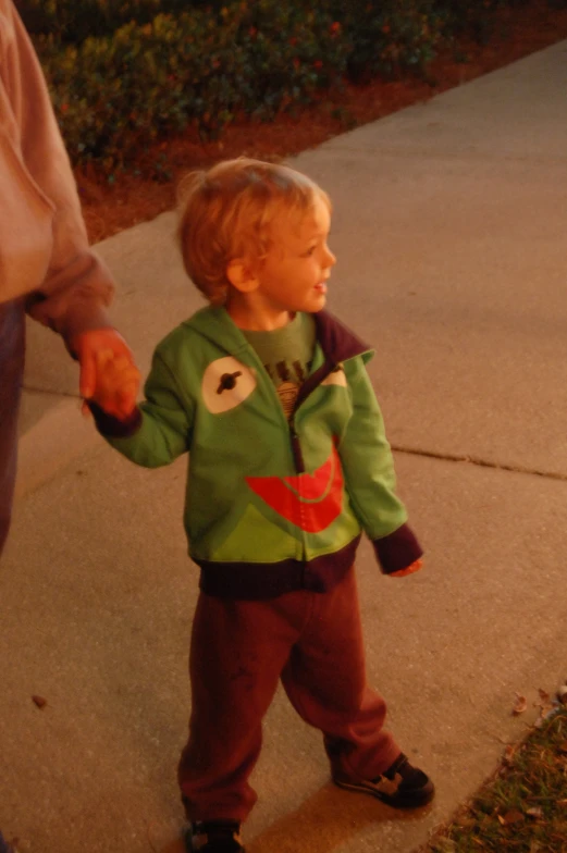 a little boy holding the hand of an adult