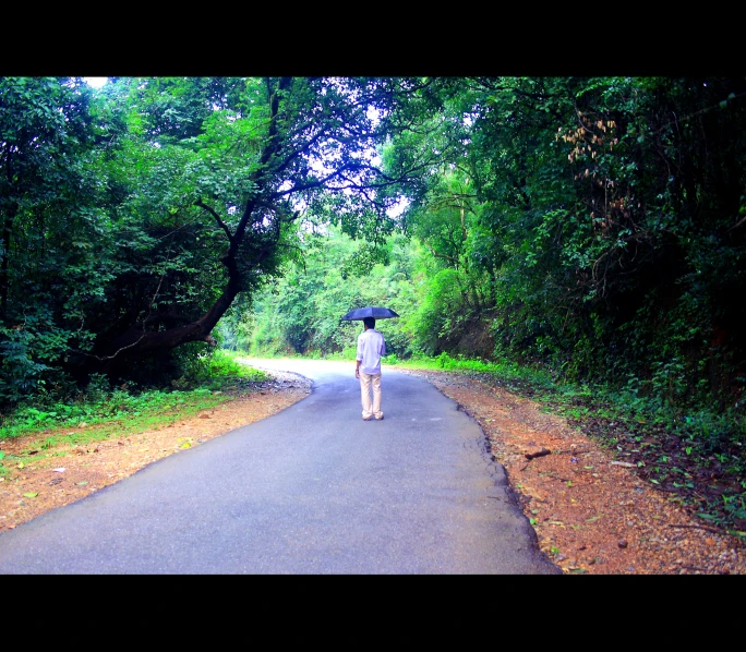 a person walks down a road, carrying an umbrella