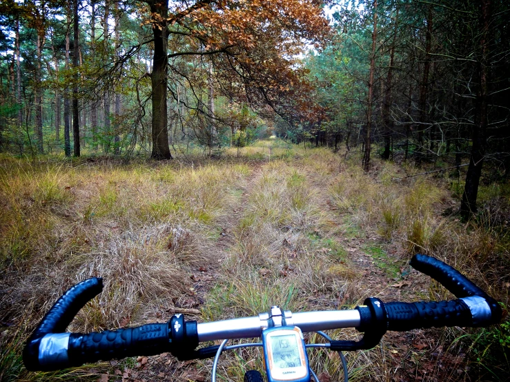 the bike has a handlebar and is parked in the forest