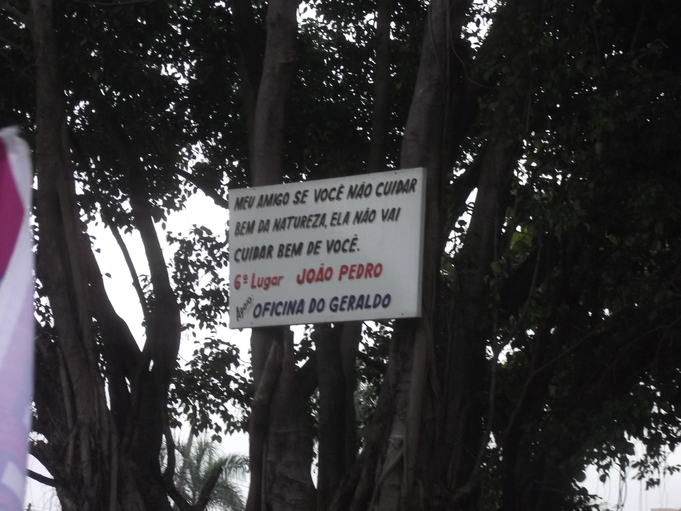 sign posted in tree with american flag nearby