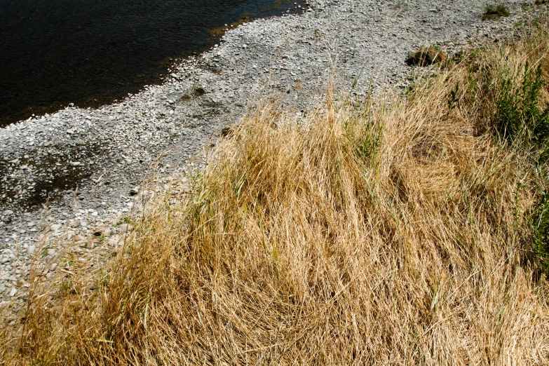 water near some rocks near a dry grass field