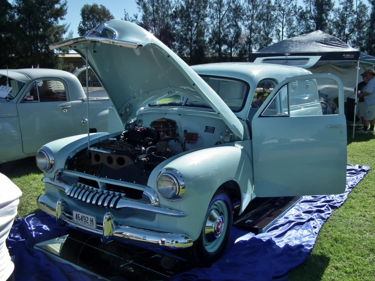 the antique cars are parked near the tree