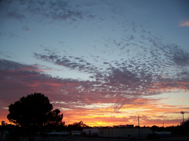 a pink sky with clouds and trees at sunset