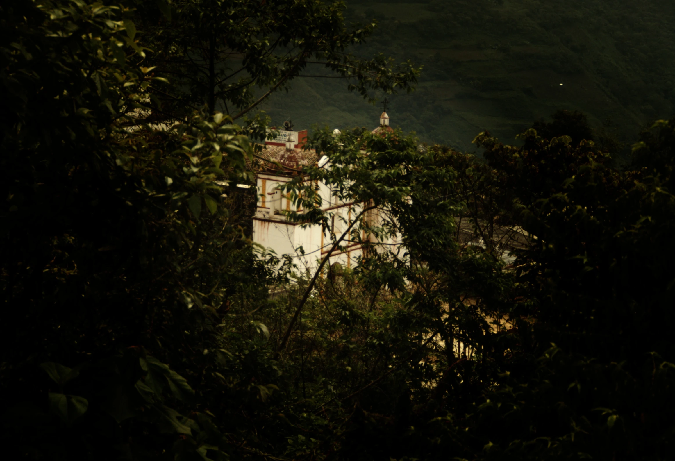 there are lots of trees outside by this house