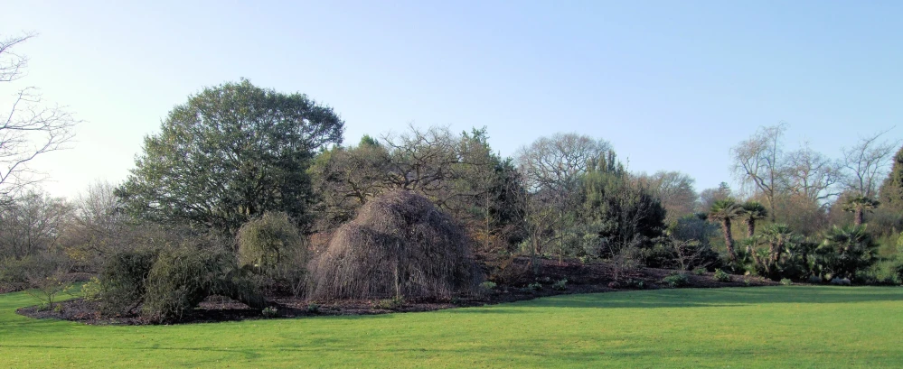 an area is empty with trees in the far foreground