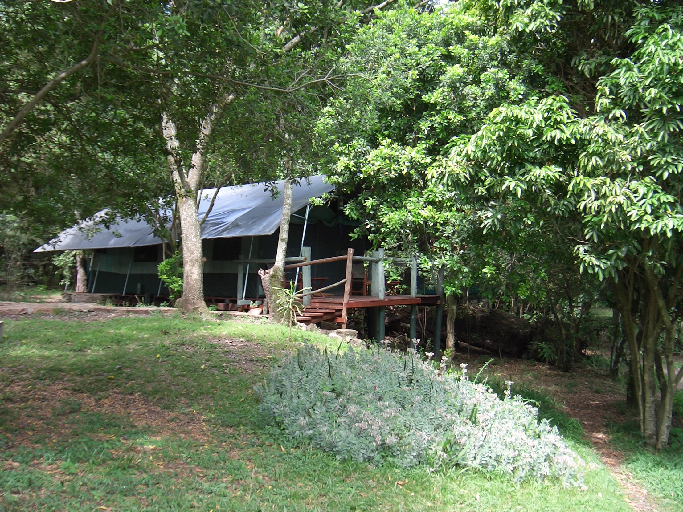 a group of wooden structures nestled in the woods