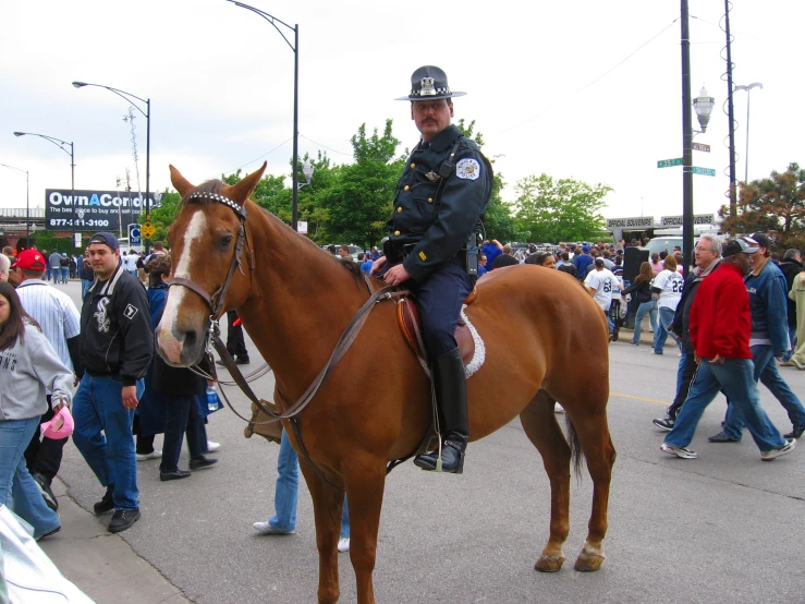 police officer on horseback in crowd of people