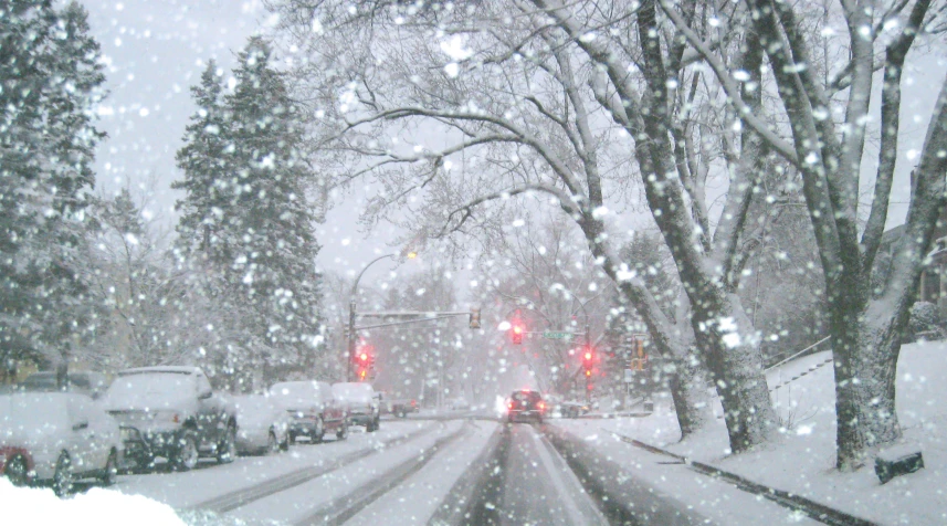 cars are driving in heavy snow as the traffic light is red