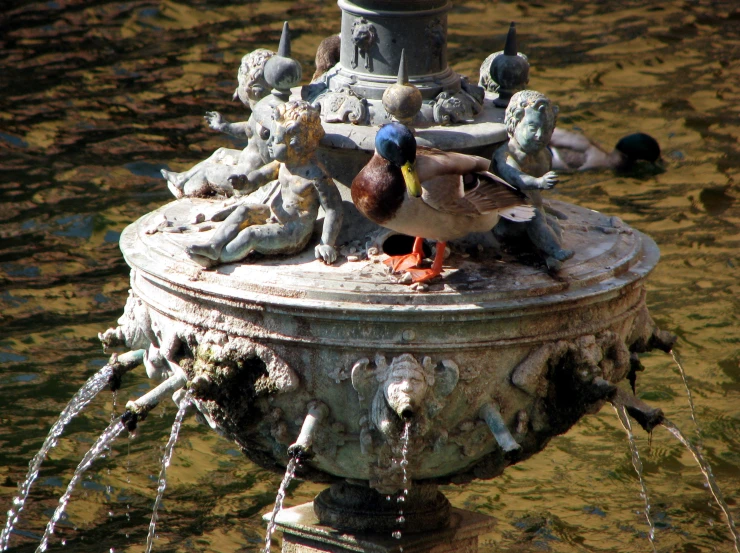 a fountain with small ducks sitting in it