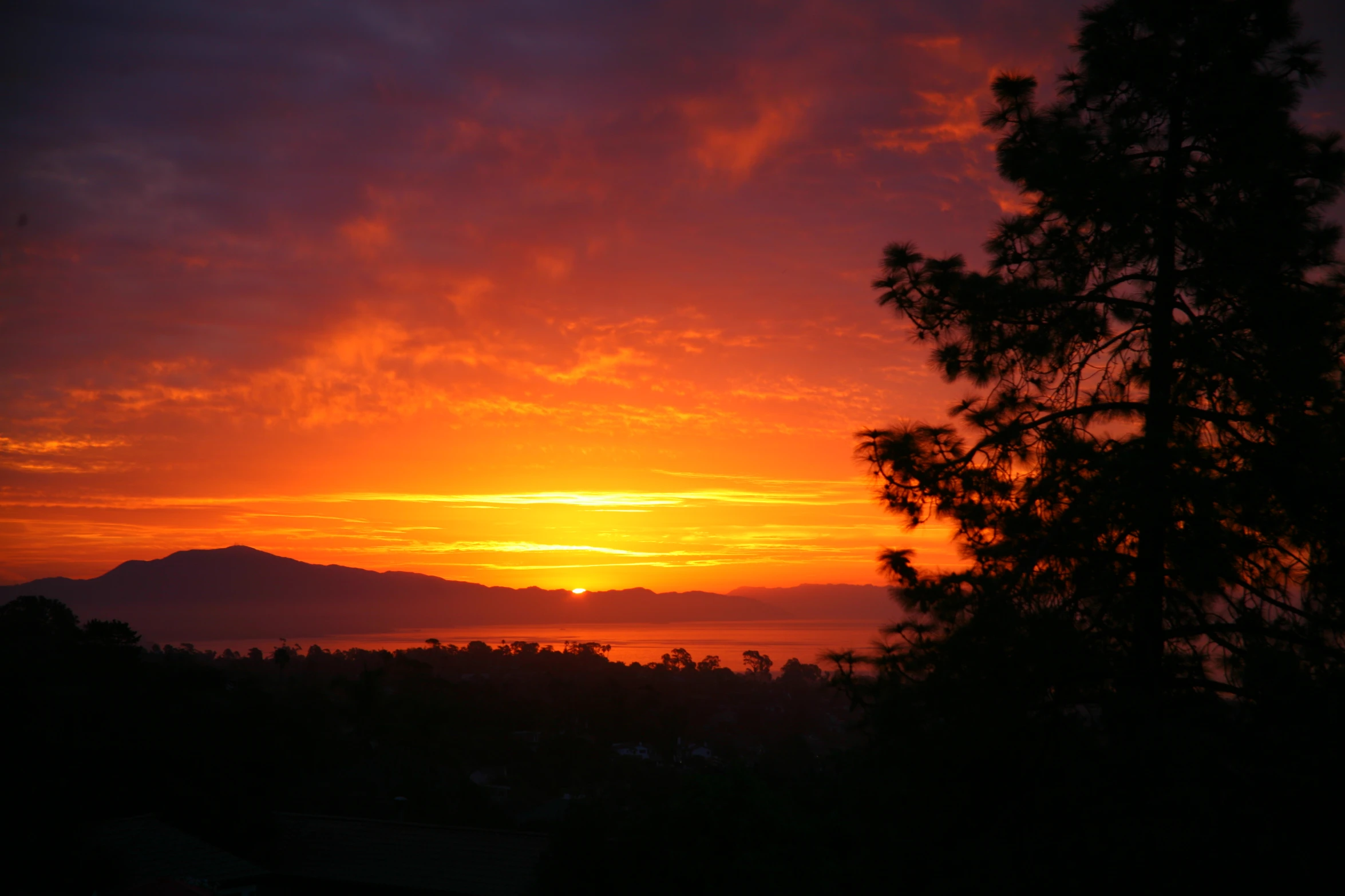 sunset with orange red clouds over tree tops