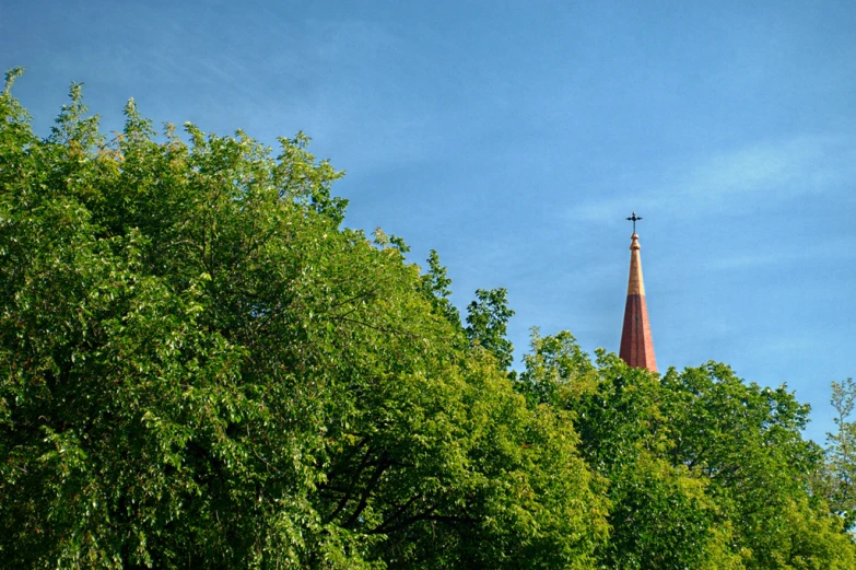 the steeple of a church is obscured by trees