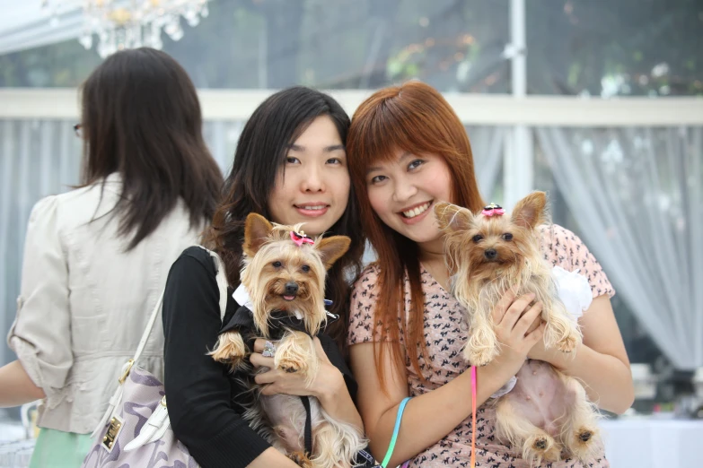 two young women holding four adorable small puppies